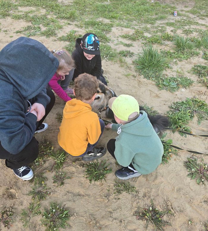 ""    - )))          -        ,    BSOD