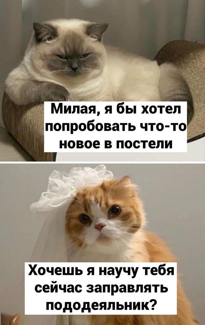    .  ,   , , ,  , , ,   