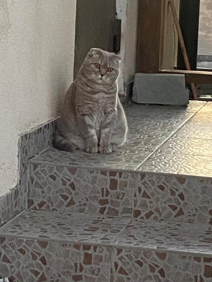    , , 