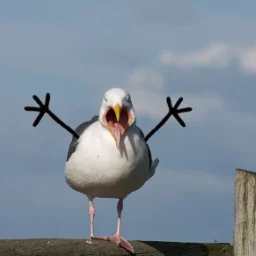 Sezonbltch