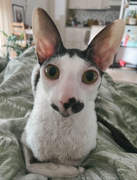 ,  !