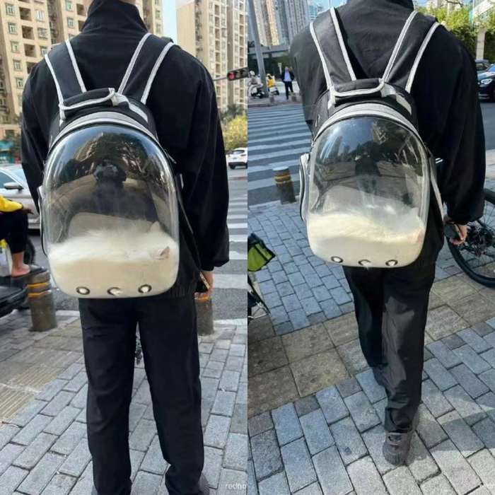   , , ,   , 