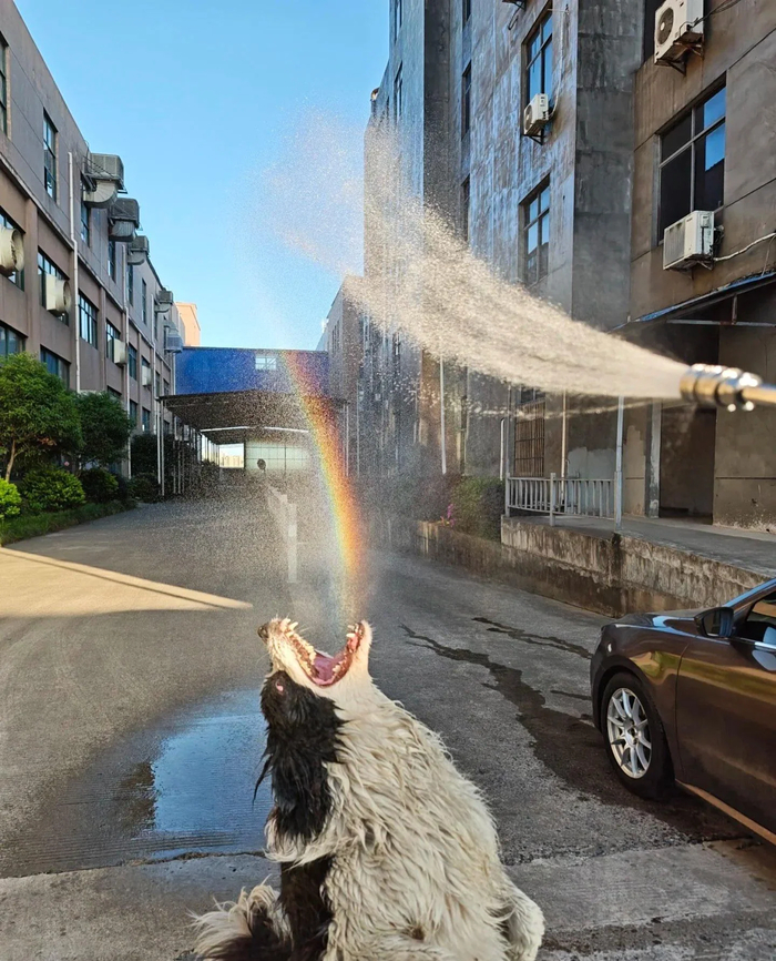   , , , , 