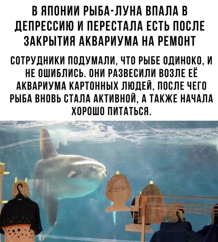 vppn5imx.webp