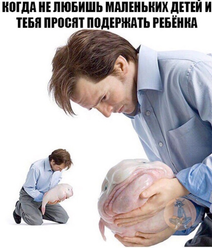    , , -,  , 