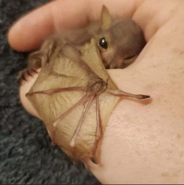      ,      , ,  , 