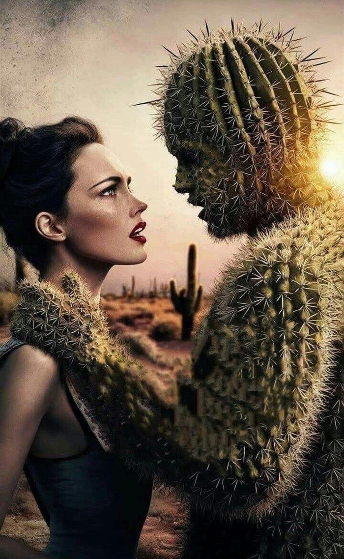   , , , , , 