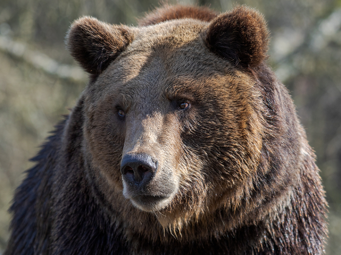     ,   .         ,  ,  .