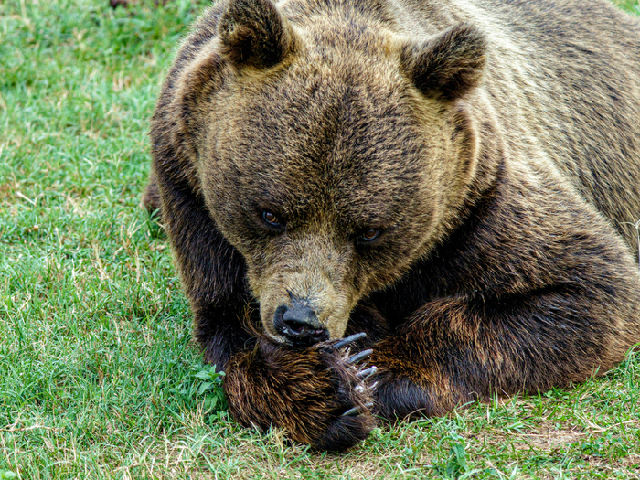    ,     .       ,            .    .