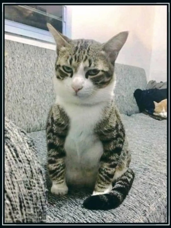     , , , , , 
