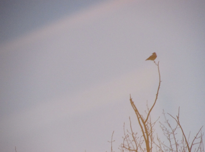 ��� ��������.