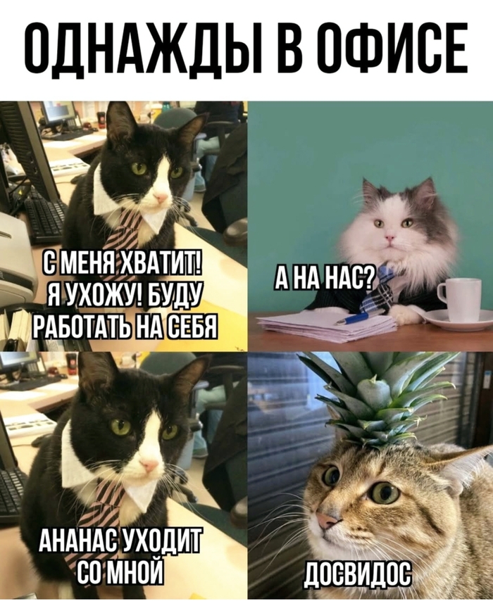       , ,  ,   , , , , 