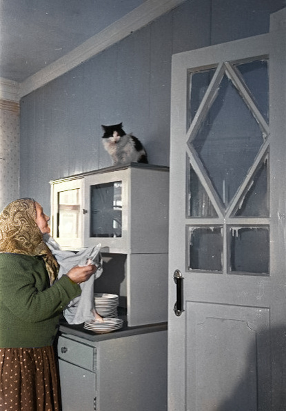 Фотограф: Кропивницкий Сигизмунд