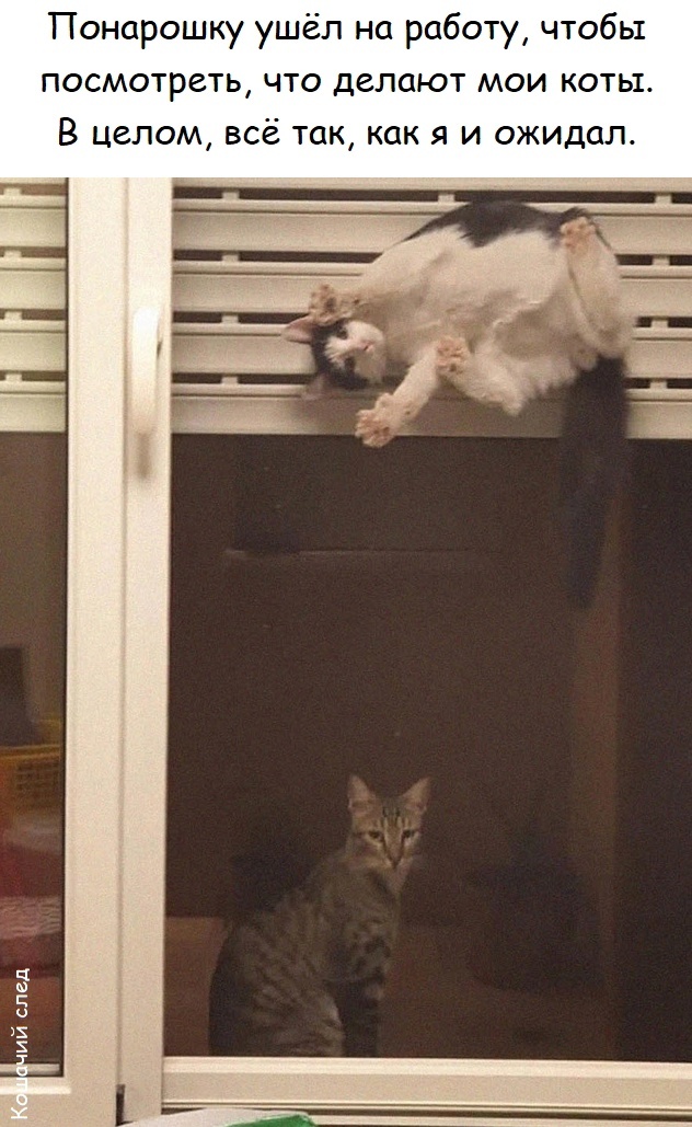       ,  ,  (),   , 