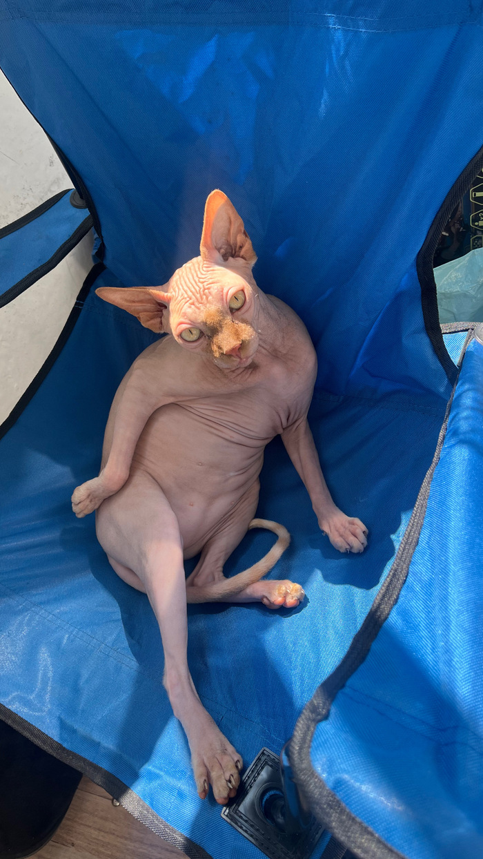 ˸  ,  