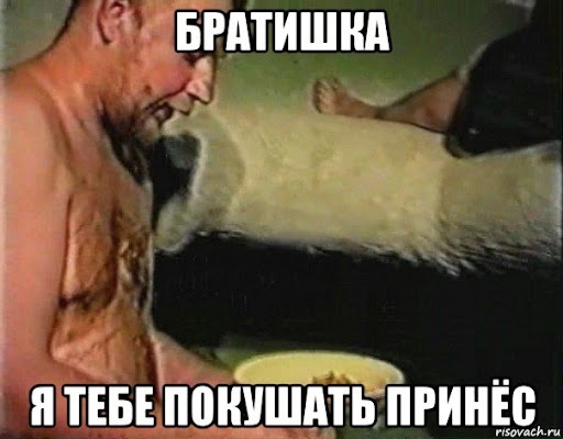  PAndNik     25,3     