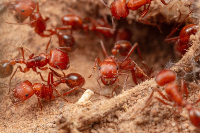  ,   4   !     5?!     4!    !