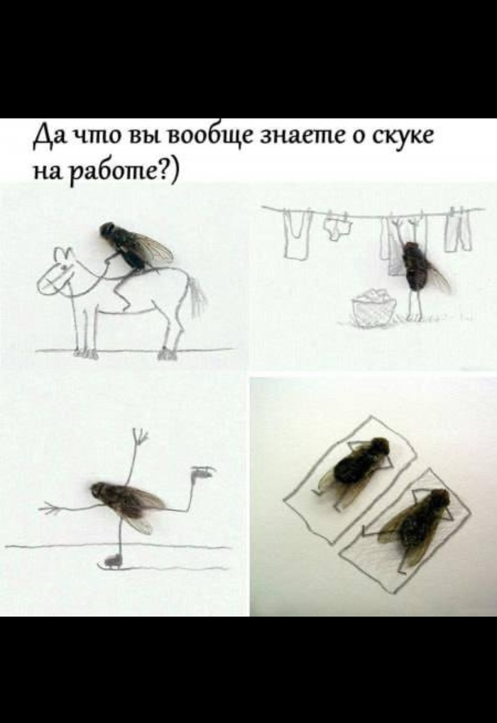  ,  ,   , , , Telegram ()
