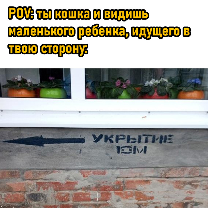 ! ,   , , 
