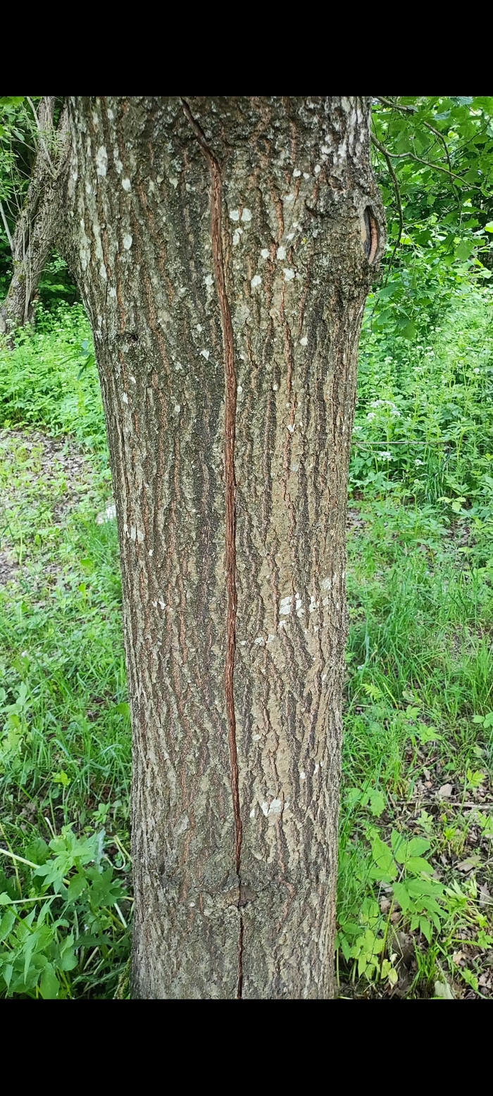      , ,  , 