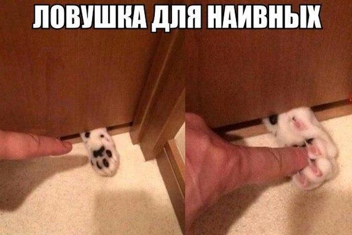  !
