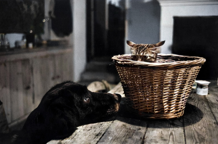 ��������: ������ �������