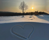 ����� �����