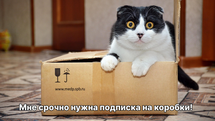  : ,    ,        , , , , , 