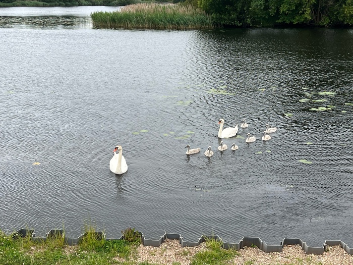 ��������� �����.