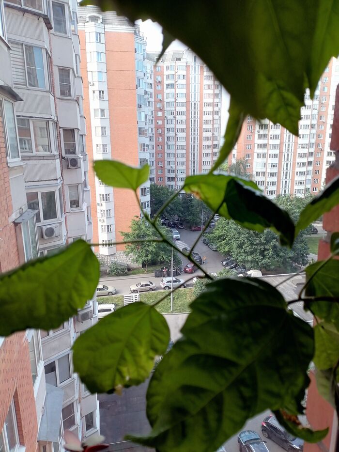 ������ ������ �����.