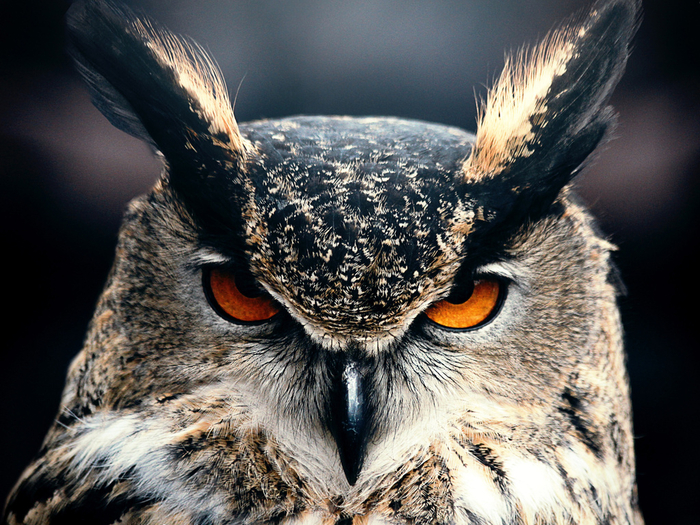 Привет, никуда не уходи, я сейчас подлечу.