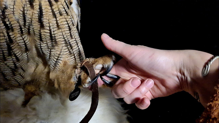 Когда твой друг специально поздоровался с максимальным сжатием.