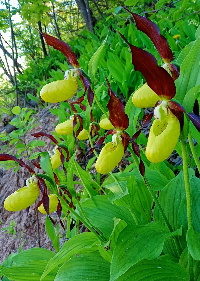 Фото Г. Исакова.