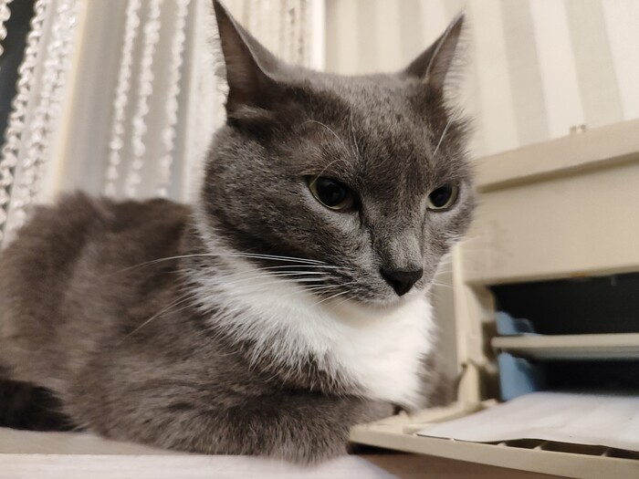      ,   ,  , , ,  , ,   , ,  ,   , , , , ,  , , ,   ,  