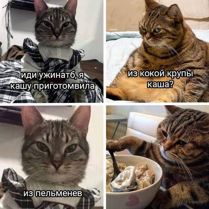  ,  , , , , , , , ,   