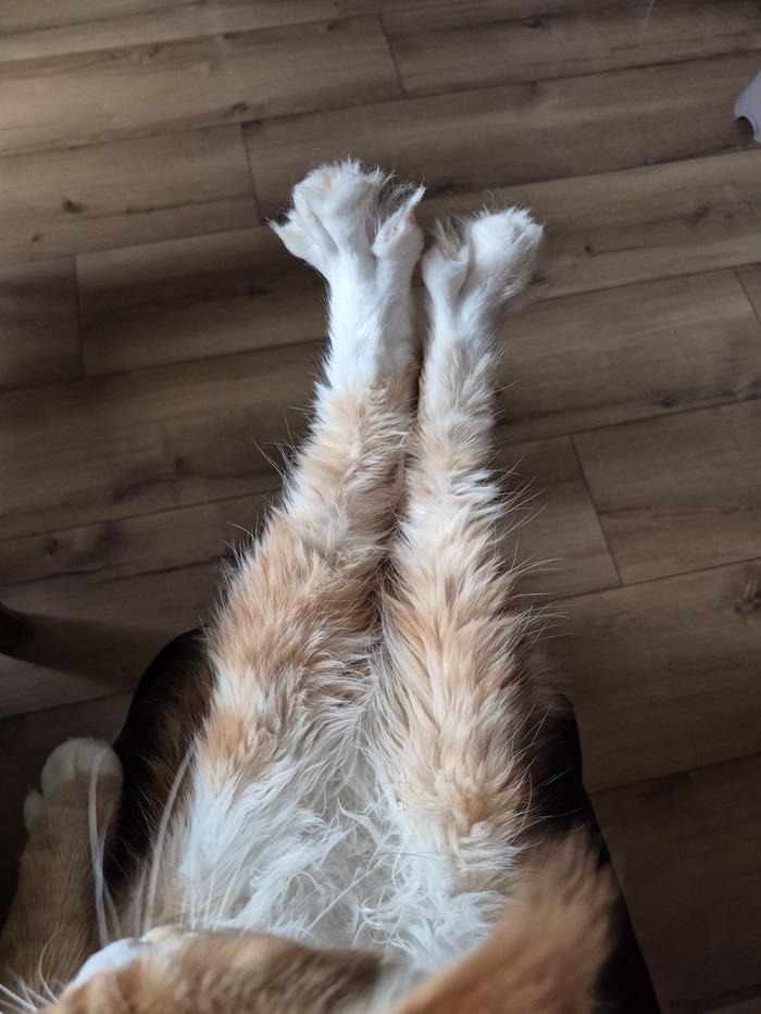   , -, 