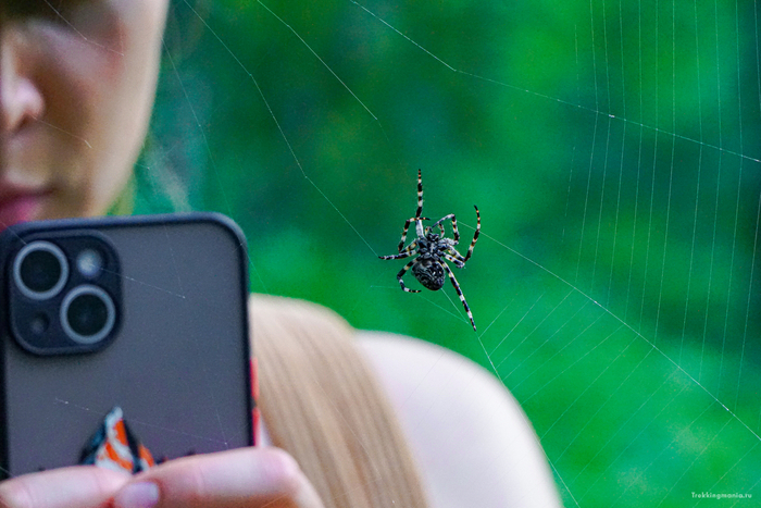 ������ �� �����