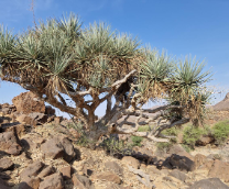 �������� �������