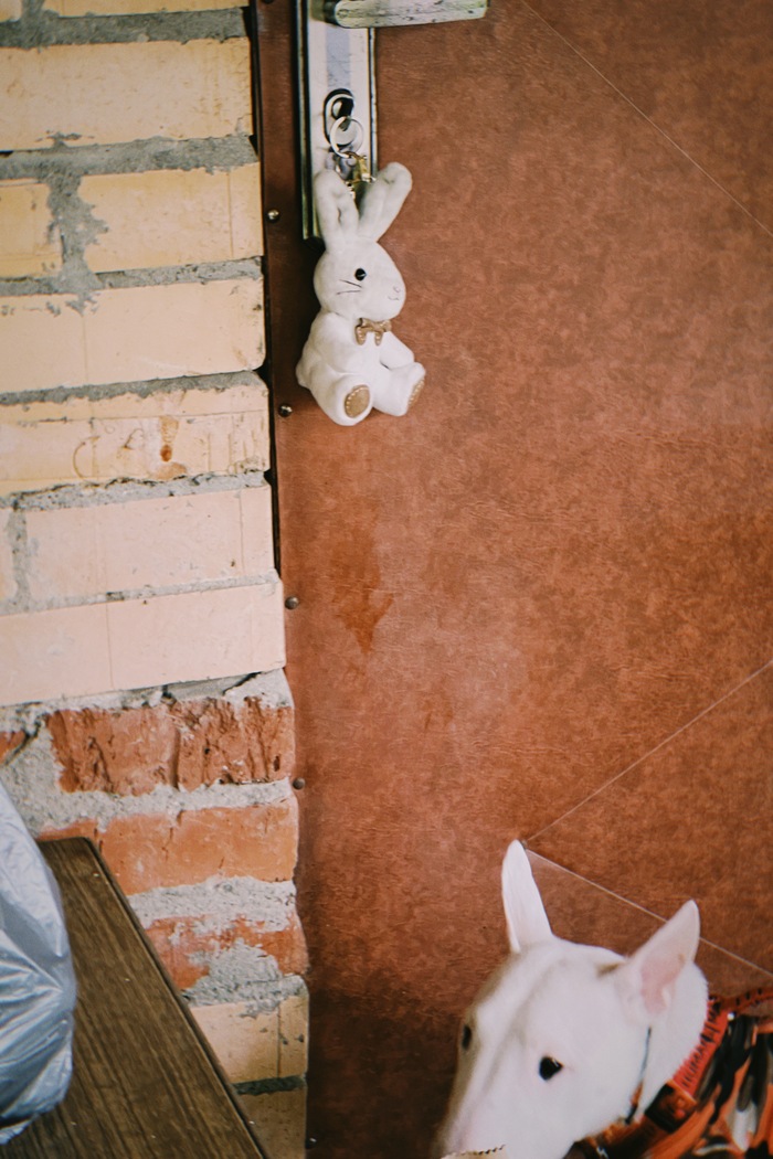 Николая ушлый деревенский кот стукнул по лицу, а Коля нашел его лежанку и порвал))