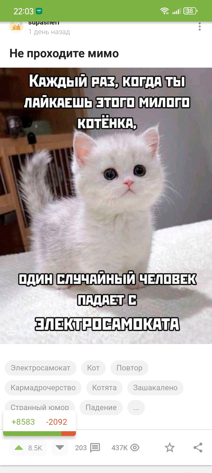      , , , , , ,  , ,   ,  , ,   , 