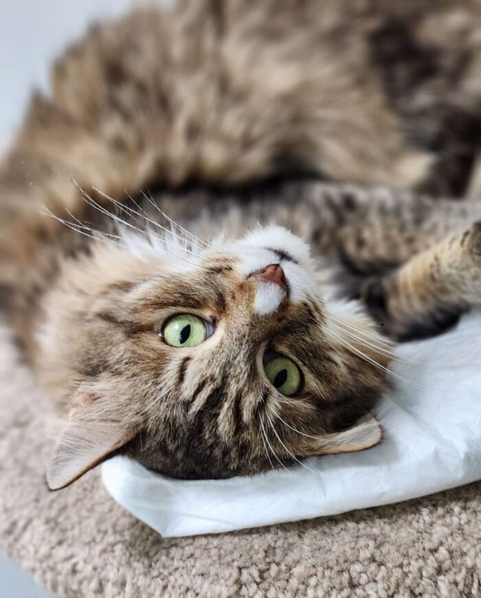  !        , ,  , , , ,  , ,  , ,   ,  ,  , ,  