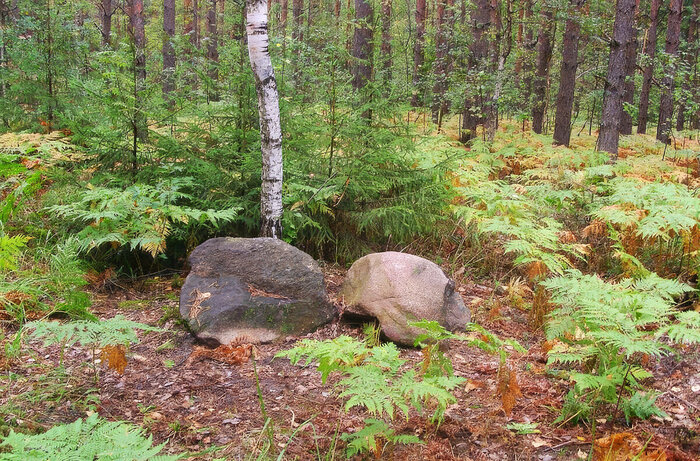 � TRAVEL 24 PRO. ������� ������� ������, ������������ �������