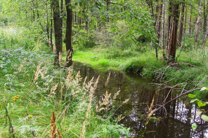 � TRAVEL 24 PRO. ������� ������� ������, ������������ �������