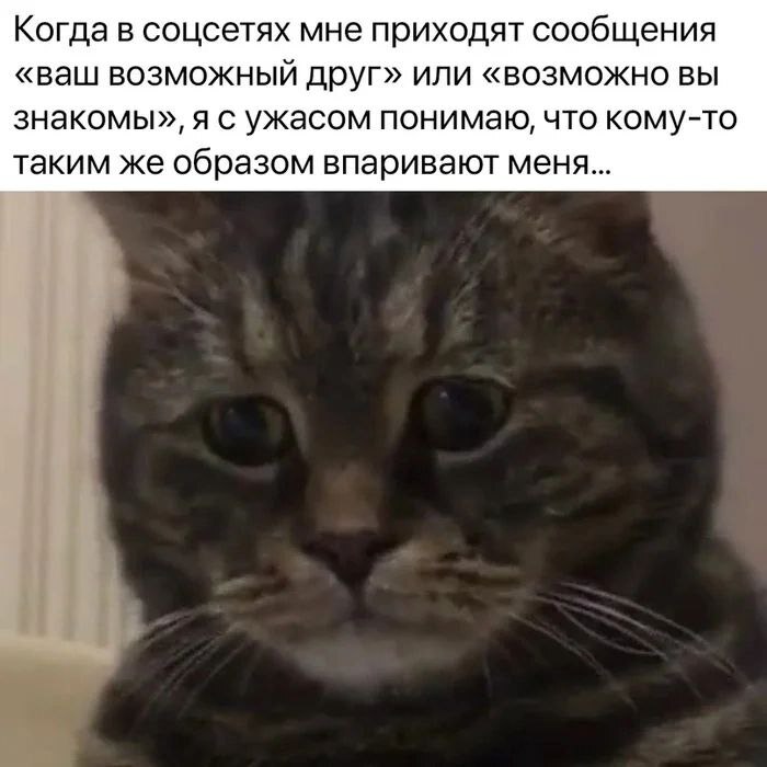 ... , , ,  , ,  , ,   , 