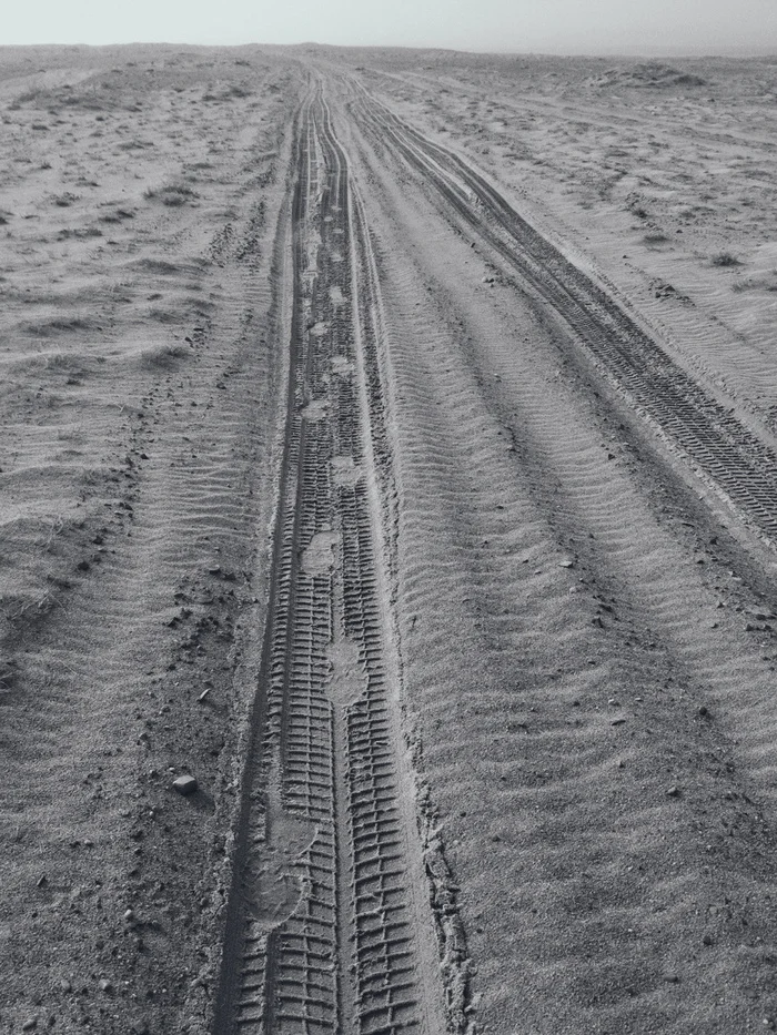 Если вы никогда не были на рыбалке Истории из жизни, Рыбалка, Кольский полуостров, Авторский рассказ, Проза, Рыбаки, Длиннопост
