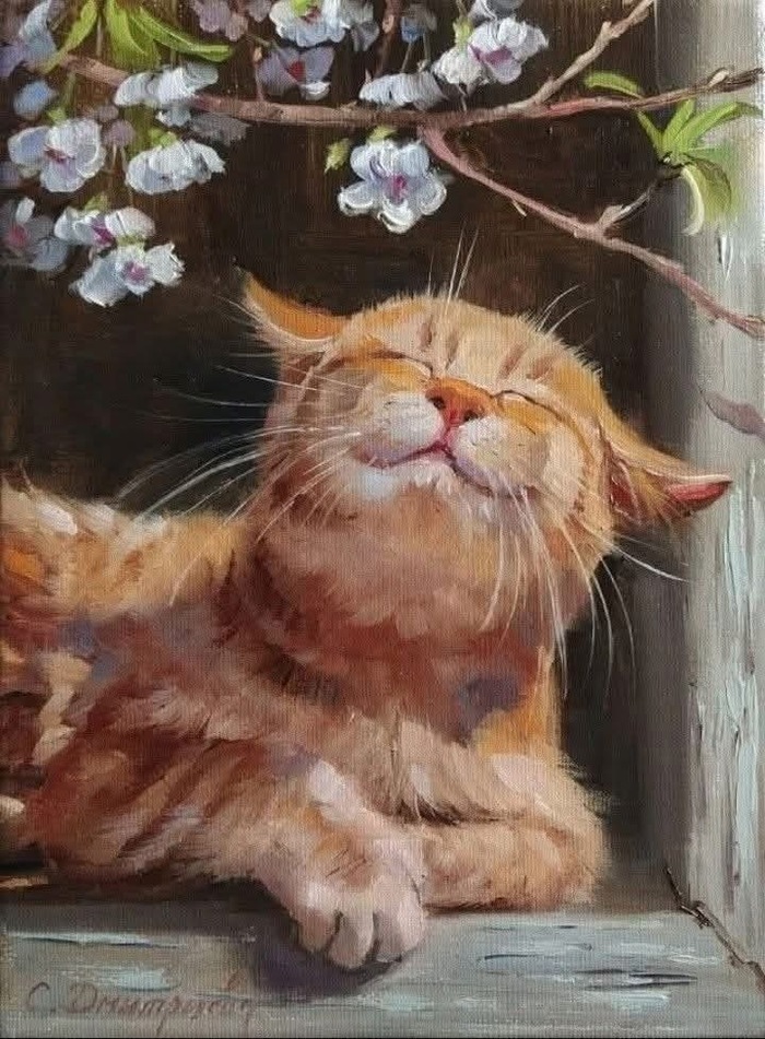   , 