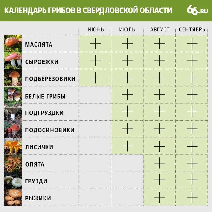   ? , , ,   , , , , ,  , , , , ,  10,   , 