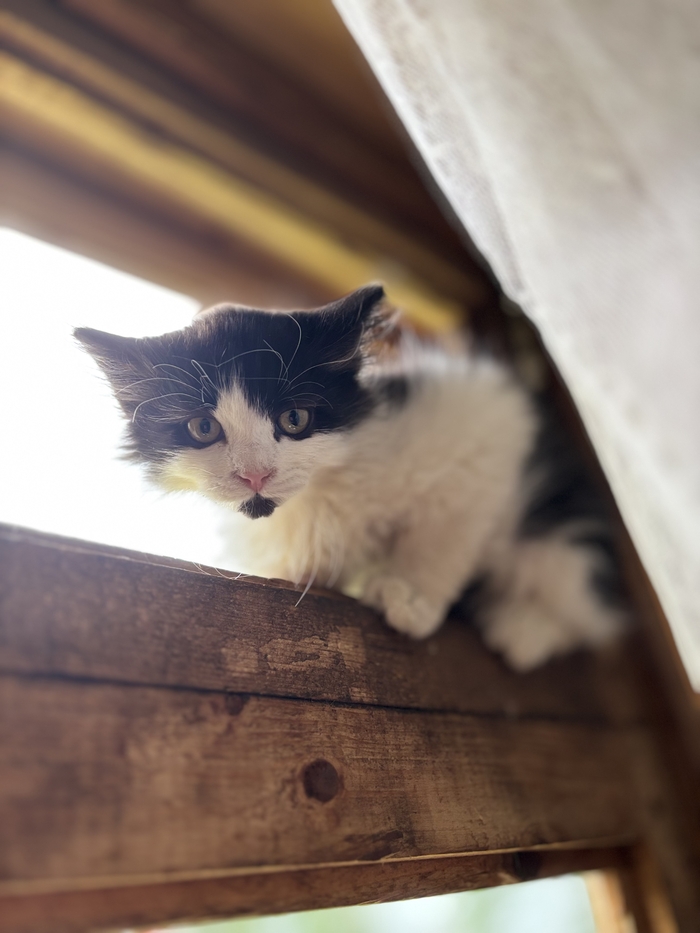         , , , , ,  , ,  ,  , , , 
