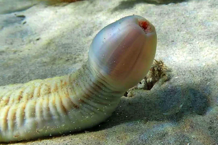       , ,   , , ,  , 