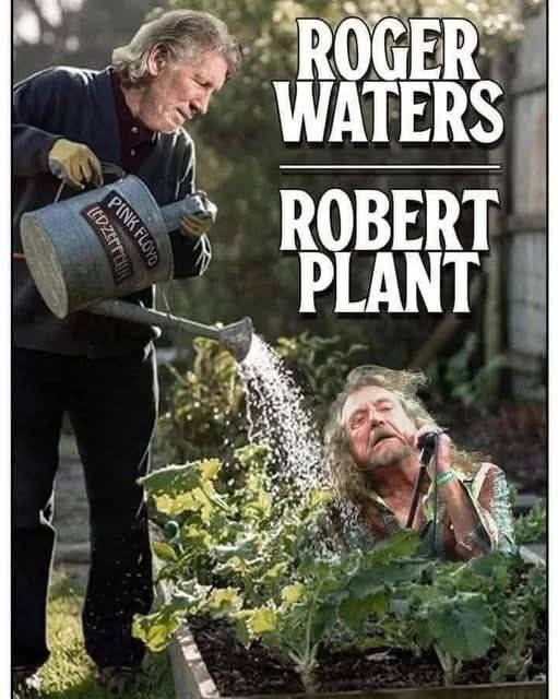 Были ж когда-то музыканты как музыканты